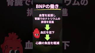 医療従事者なら知らなきゃやばい。BNPとは？看護師 看護師ママ 看護師の勉強垢 熱中症 介護士 介護福祉士 リハビリ 薬剤師 医療従事者 [upl. by Salisbury]