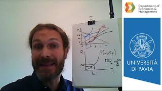 Microeconomia LZ Lezione 8 [upl. by Noramac]