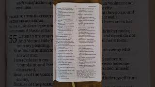 NASB Book of Psalms Chapter 55 [upl. by Aralk]