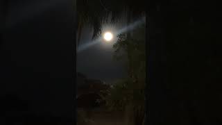 Fullmoon🌕daily fullmoon trendingshorts shortvideo viralvideo chill [upl. by Kehsihba]