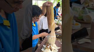 The Most Delicious Coconut Tree Cutting Skills [upl. by Ielirol]