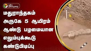 மதுராந்தகம் அருகே 5 ஆயிரம் ஆண்டு பழமையான எலும்புக்கூடு கண்டுபிடிப்பு  PTT [upl. by Angelis]