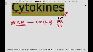 Cytokines  Chemical Mediators of Inflammation  General Pathology  Bangla [upl. by Akiemahs]