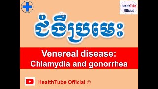 ជំងឺប្រមេះ l Venereal disease Chlamydia and gonorrhea l សុខភាពផ្លូវភេទ l HealthTube Official [upl. by Helyn]