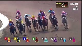 HK horse racing at Shatin Race 1 09112024prestonepie4395 [upl. by Eahsal]