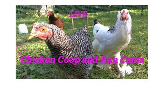 Chicken Coop Cam Live [upl. by Fanning]