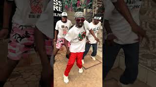 Felo Le Tee Leemckrazy Keynote Yini Ngathi Insane Official Dance choreography [upl. by Acinad]