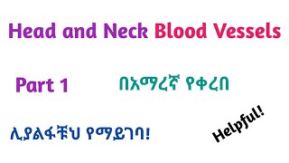 Anatomy ǀ Blood VesselsSupply of Head and Neck Interesting Video with Amharic Speech Part 1 [upl. by Amairam]