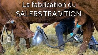 La fabrication du fromage Salers Tradition  GAEC Taillé  CANTAL [upl. by Hoseia]