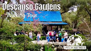 4K Descanso Gardens La Cañada Flintridge California  WALKING TOUR [upl. by Aisylla]