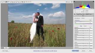 Using the Tools in Adobe Camera RAW [upl. by Weidner]