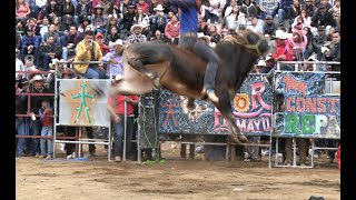 RANCHO EL GUAMÚCHIL PRIMER JARIPEO EN ERONGARICUARO MICHOACÁN 07 DE ENERO 2024 [upl. by Ahk123]