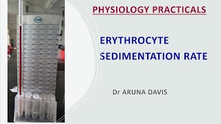 Erythrocyte Sedimentation Rate  HEMATOLOGY PRACTICALS VIVA QUESTIONS  FIRST YEAR MBBS [upl. by Pinckney]