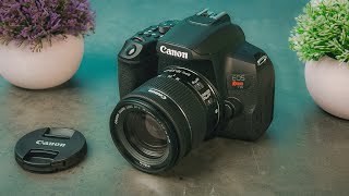 Best DSLR Cameras in 2023 [upl. by Volding623]