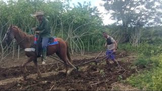 Cuba vivir en el campo 2025 [upl. by Htrahddis]