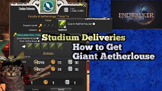 How to get Giant Aetherlouse FSH Studium Faculty of Aetherology Delivery Quest FFXIV Endwalker [upl. by Inneg168]