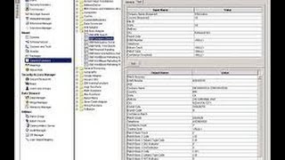 Informatica MDM Training  Informatica MDM Tutorial  Online Informatica MDM [upl. by Deery]