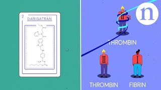 Thrombosis anticoagulants and the clotting cascade [upl. by Suoiluj]