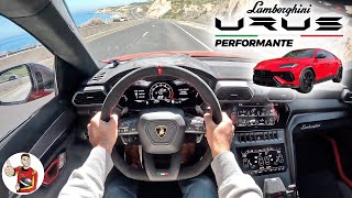 The Lamborghini Urus Performante is Silly Fast  Still Tame POV Drive Review [upl. by Aicilyhp891]