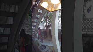 Girl Steals Package from Doorstep on Scooter Caught on CCTV [upl. by Nileuqcaj]