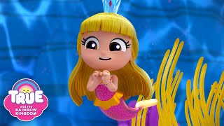 Mermaid Princess 🧜‍♀️ Friendship Day amp More Grizelda FULL Episodes 🌈 True and the Rainbow Kingdom [upl. by Simon]