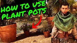 How To Use PLANT POTS in Ark Survival Ascended [upl. by Carolyne]