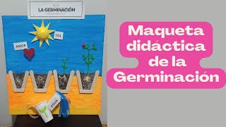 Maqueta de la germinación ♻🤩MVRC♻ [upl. by Sherilyn]