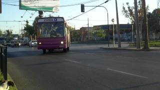 Marcopolo Torino G6  Mercedes Benz  STP Santiago Zona F [upl. by Yznyl186]