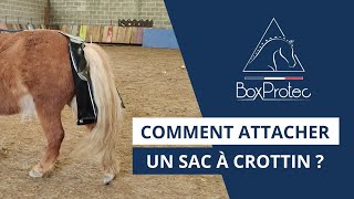 TUTORIEL  comment attacher un sac à crottin [upl. by Kaycee]