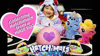 HATCHIMALS FROM A BIG EGG [upl. by Vel416]