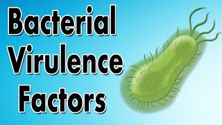 Bacterial Virulence Factors [upl. by Irbmac324]