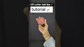 Off cutter bowling tutorial cricket offcutter youtubeshorts [upl. by Caroline332]