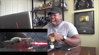 Baby Yoda Executes Order 66  Reaction [upl. by Lu49]