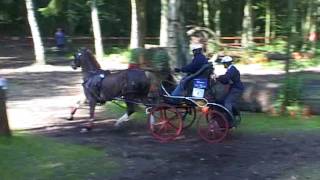 WK mennen Hellendoorn zaterdag [upl. by Cleavland]