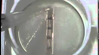 Tissue Train® Bioartificial Tissue Fabrication with Uniaxial Strain [upl. by Ryhpez]