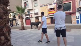 TAUROEMISION Toros en Directo 1 cerril Grao de Castellón [upl. by Eirameinna]