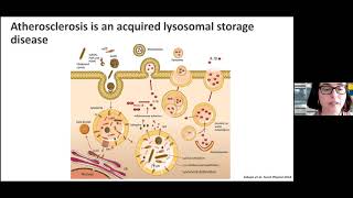 Cholesteryl hemiesters lysosome dysfunction and atherosclerosis  May 31 2021 [upl. by Itirahc153]