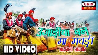 Ujadiya Ban Ma Mavadi  Ananadilal Bhavel  Kondwalyo Khela  Adivasi Timli Dance Video [upl. by Rochus]