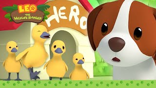 NEW Adventure Time with HERO 🚶🐕  Its Hero Time  Leo the Wildlife Ranger  Kids Cartoons [upl. by Dotty163]