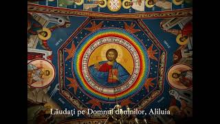 Psalm 135 Romanian Orthodox [upl. by Deeyn]