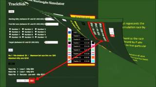 Trackside Martingale Simulator Help [upl. by Latif]