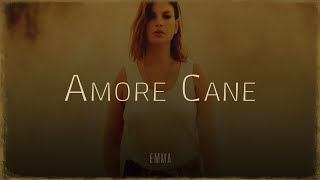 AMORE CANE 🎵 Emma Lazza TestoLyrics [upl. by Sigfrid]