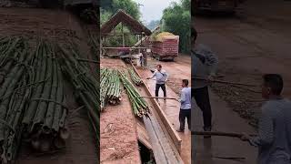 Bamboo pulp making process Good tools and machinery can increase work efficiency [upl. by Yug]