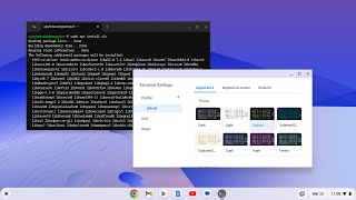 How to Open Linux Terminal on Chromebook [upl. by Geis]