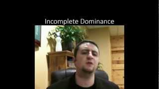 Incomplete Dominance Codominance and Multiple Alleles [upl. by Ivon]