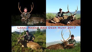 Lanai Hawaii Axis Deer Hunt 2017 [upl. by Htiel93]