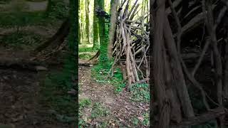 Petite cabane en forêt [upl. by Arthur]