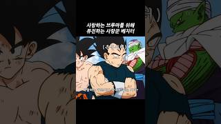 사랑하는 브루마를 위해 퓨전하는 사랑꾼 베지터 [upl. by Daigle370]