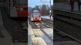 trending bergen visitbergen youtubeshorts norway raindays 🇳🇴 [upl. by Leong]