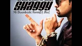 Shaggy  Mr Boombastic RemixDj Jflor ft Dj Jomar [upl. by Denae]